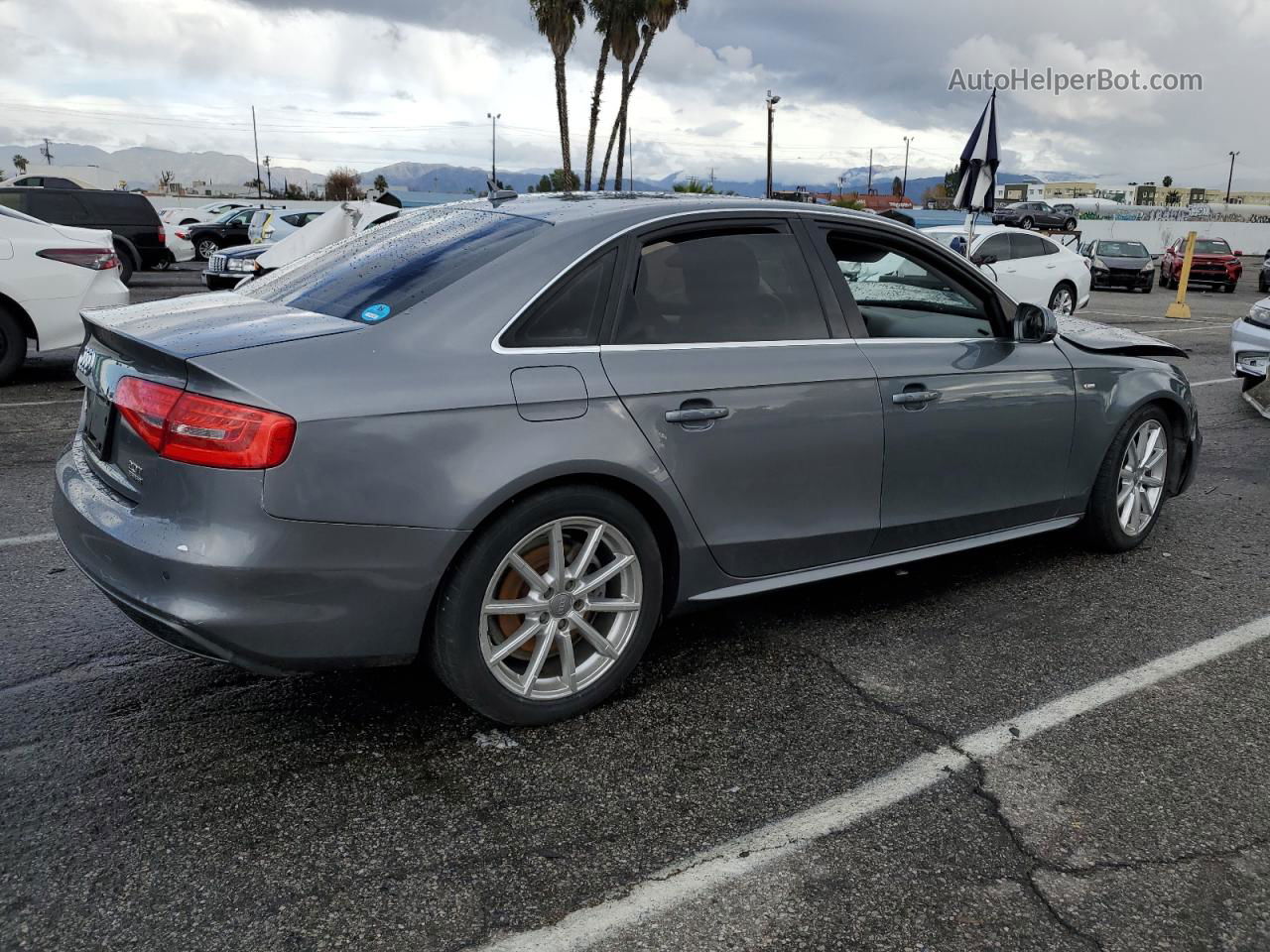 2016 Audi A4 Premium Plus S-line Gray vin: WAUFFAFL8GN010964