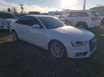 2014 Audi A4 Premium Plus White vin: WAUFFAFL9EN040584