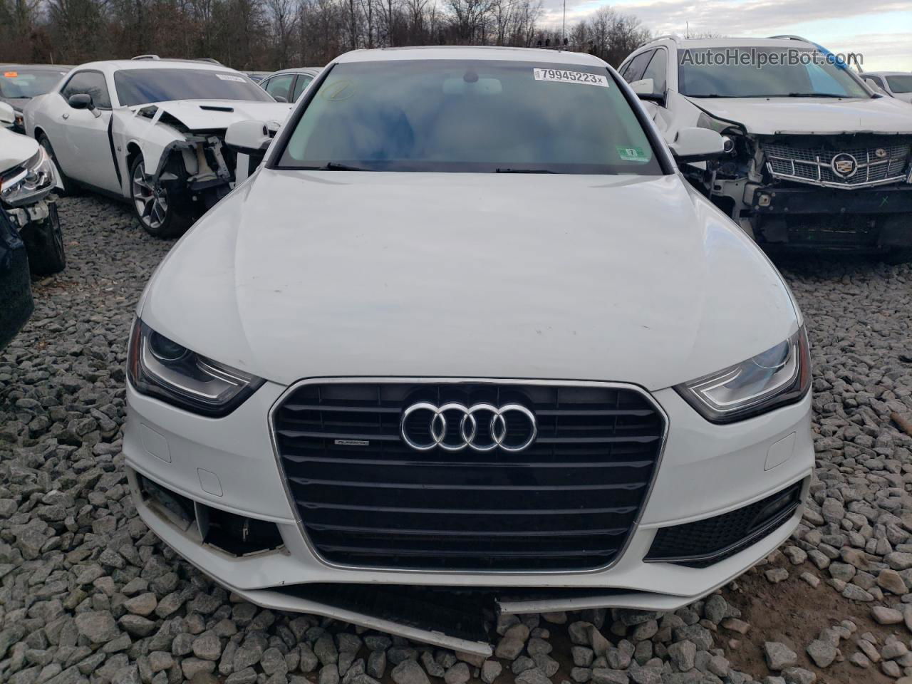 2014 Audi A4 Premium Plus Белый vin: WAUFFAFL9EN040584