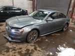 2016 Audi A4 Progressiv Plus Gray vin: WAUFFCFL8GA010742