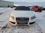 2012 Audi S4 Premium White vin: WAUFGCFLXCA014394