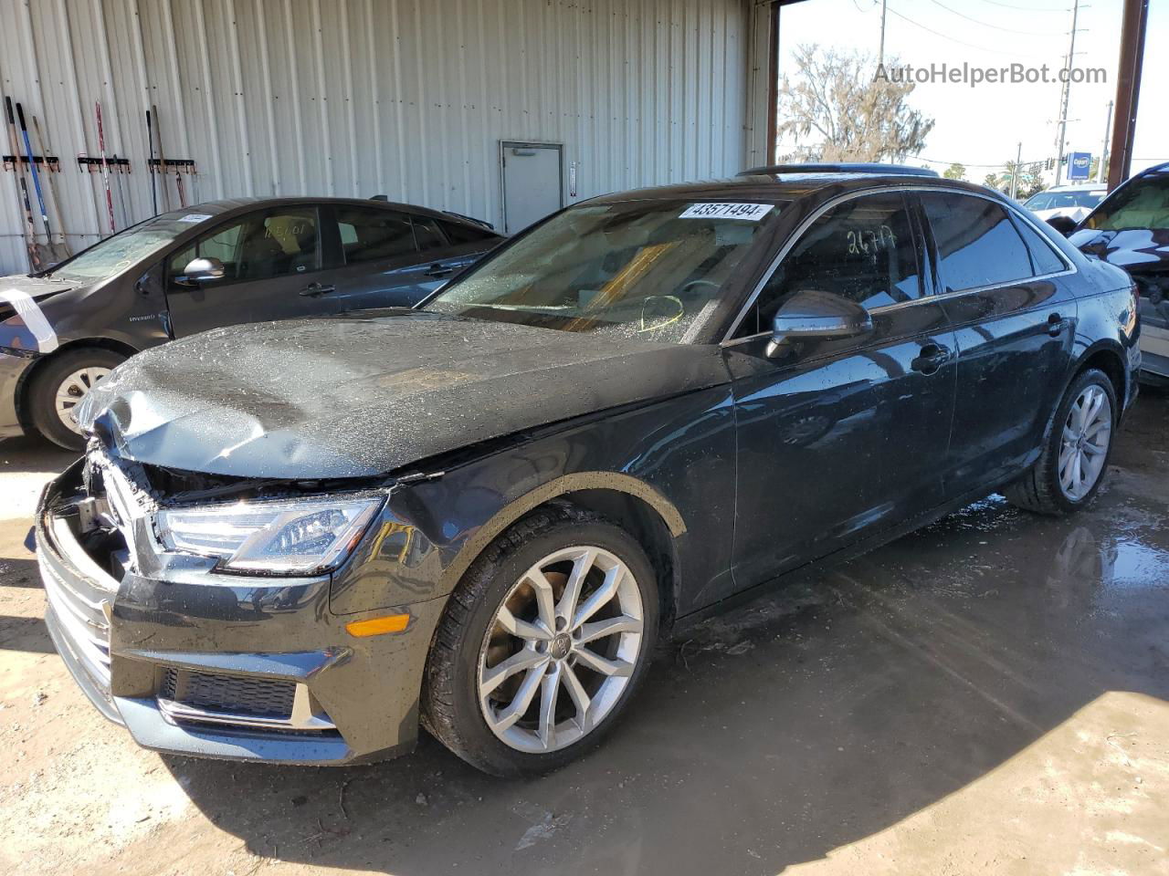 2019 Audi A4 Premium Gray vin: WAUGMAF41KA005043