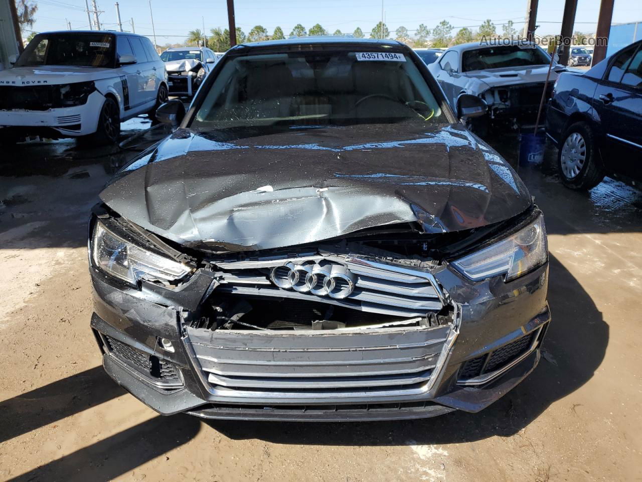 2019 Audi A4 Premium Gray vin: WAUGMAF41KA005043