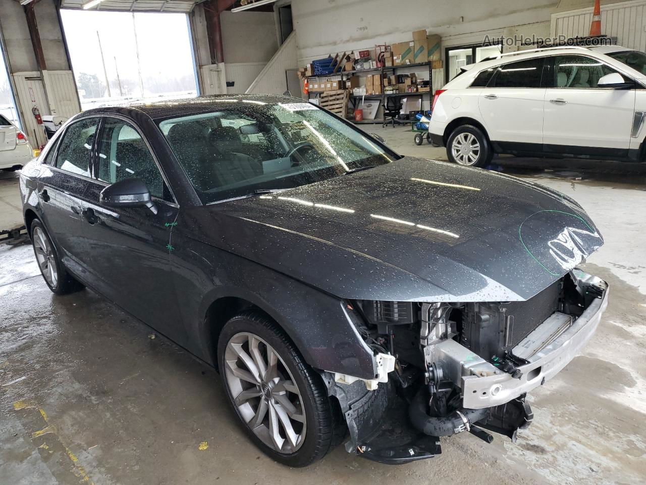 2019 Audi A4 Premium Gray vin: WAUGMAF41KA089607