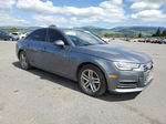 2017 Audi A4 Ultra Premium Gray vin: WAUGMAF46HN043451