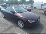 2014 Audi A5 Premium Plus Фиолетовый vin: WAULFAFH5EN008729