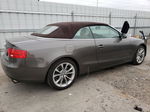 2014 Audi A5 Premium Plus Brown vin: WAULFAFH6EN007167