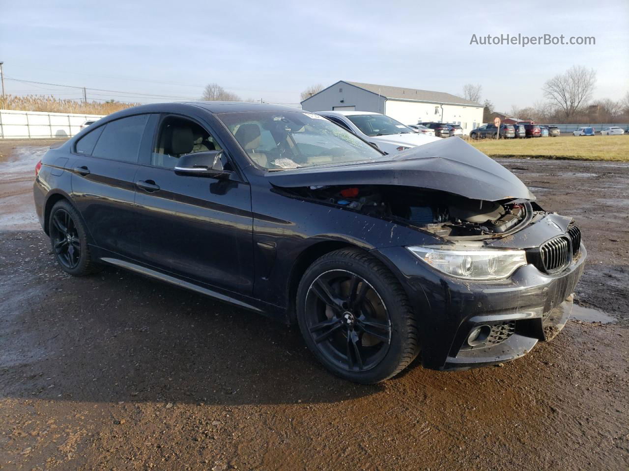 2017 Bmw 430xi Gran Coupe Black vin: WBA4F9C56HG811989