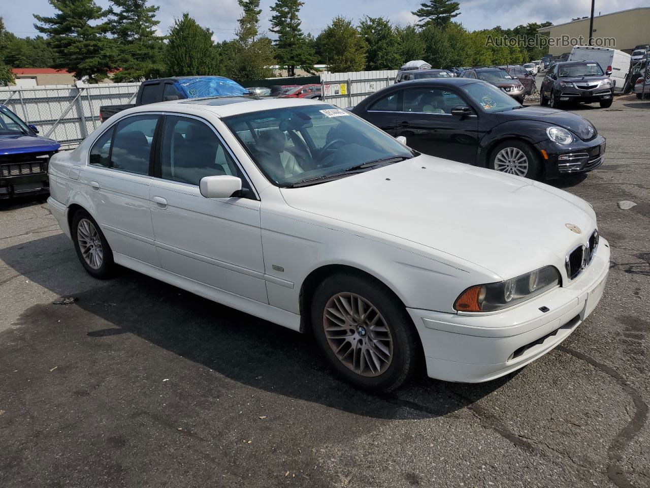 2003 Bmw 530 I White vin: WBADT53483CE93935