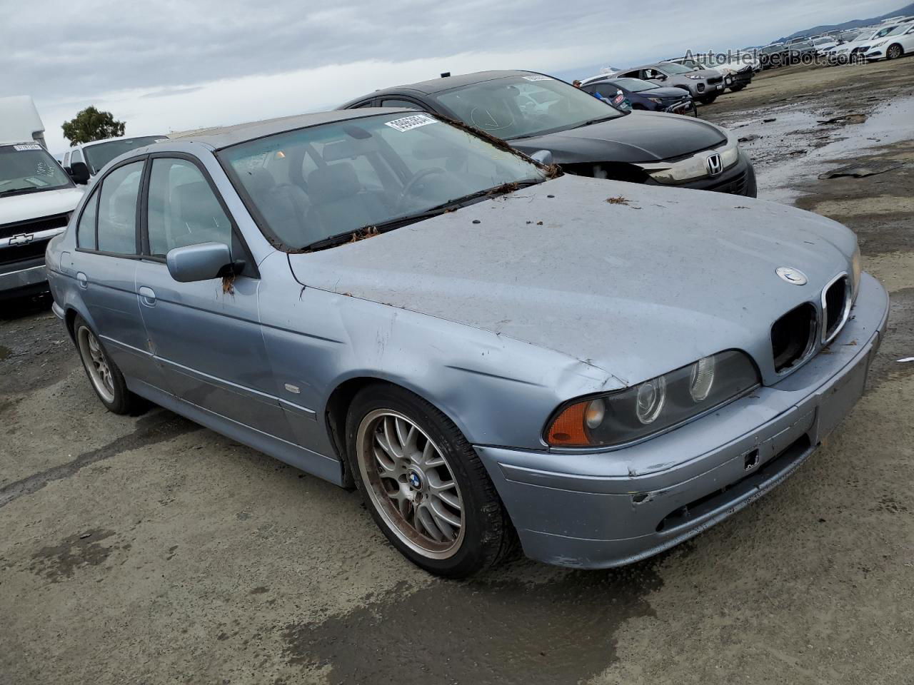 2003 Bmw 530 I Automatic Blue vin: WBADT63413CK31130