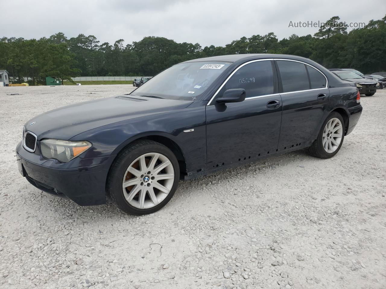 2004 Bmw 745 I Blue vin: WBAGL63524DP72365