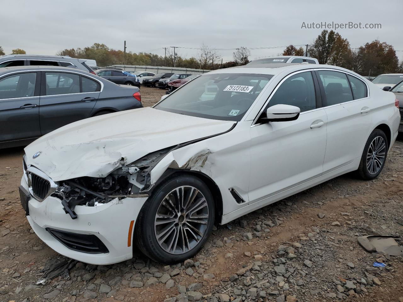 2020 Bmw 540 Xi White vin: WBAJS3C06LWW78830