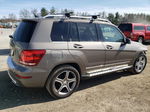 2013 Mercedes-benz Glk 250 Bluetec Бежевый vin: WDCGG0EB7DG116243