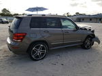 2013 Mercedes-benz Glk 350 Brown vin: WDCGG5HB5DG004470