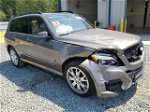 2013 Mercedes-benz Glk 350 4matic Brown vin: WDCGG8JB4DF964056