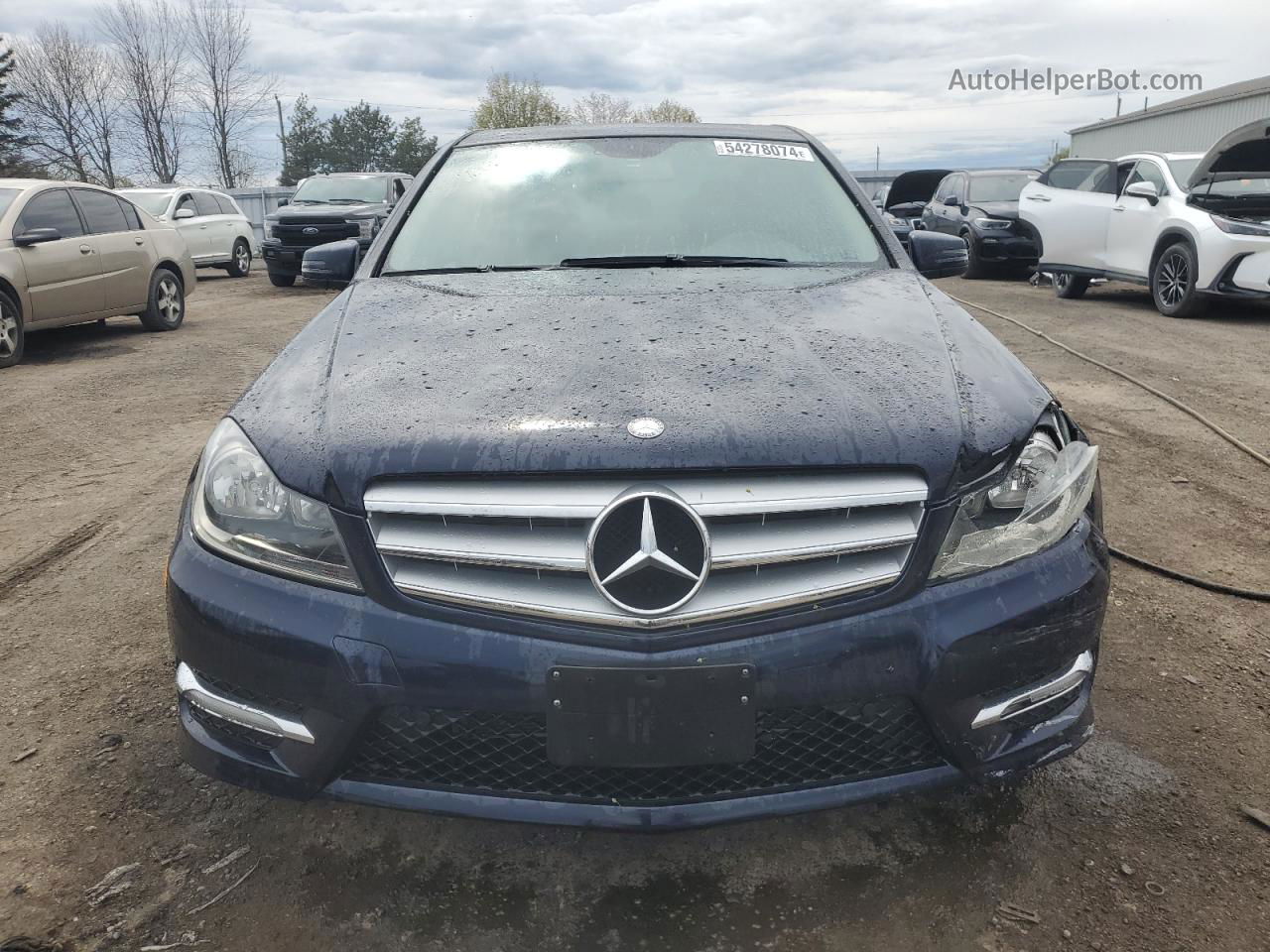 2012 Mercedes-benz C 250 4matic Blue vin: WDDGF8FB2CF877116