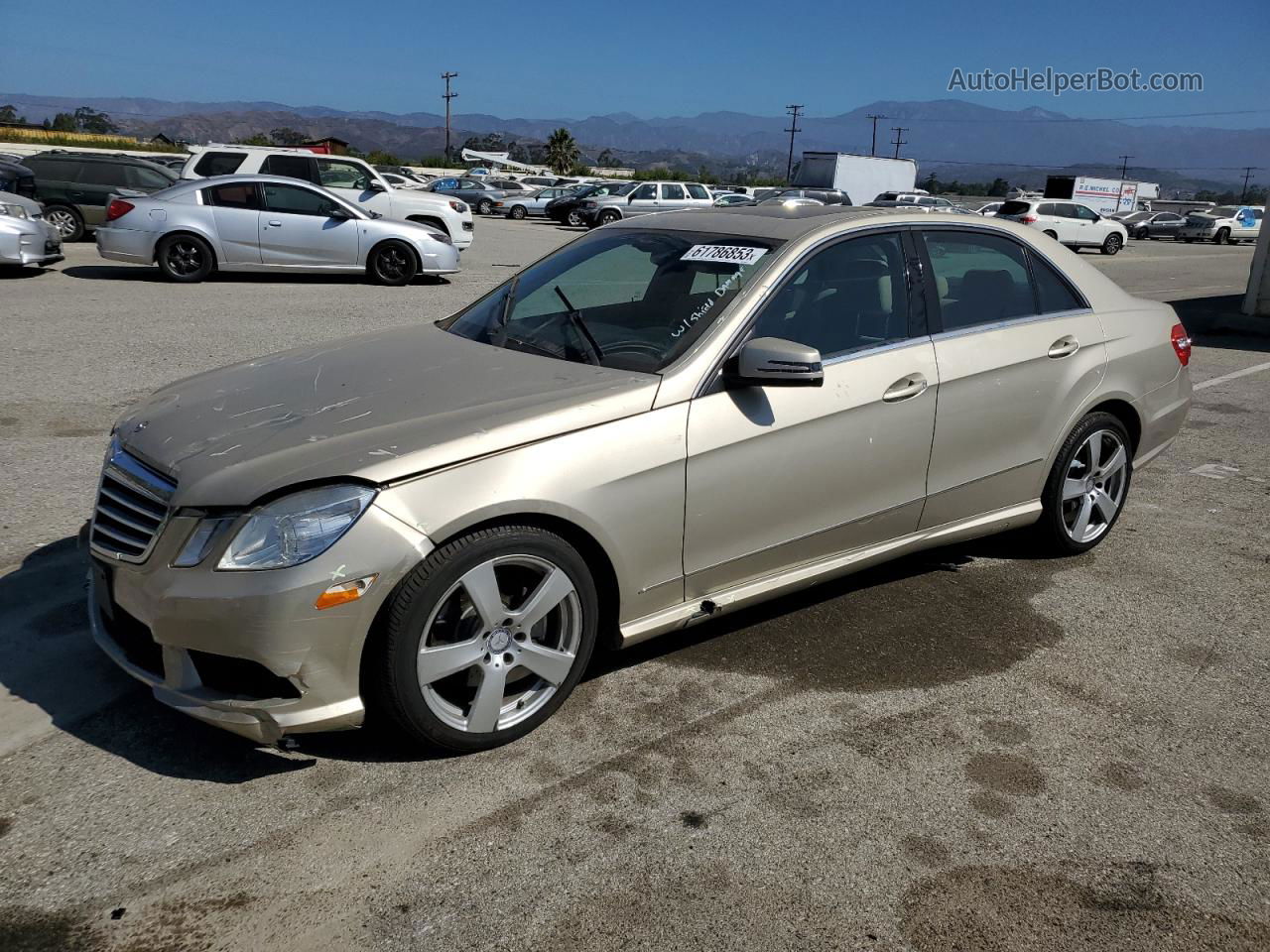 2010 Mercedes-benz E 350 Beige vin: WDDHF5GB0AA043602