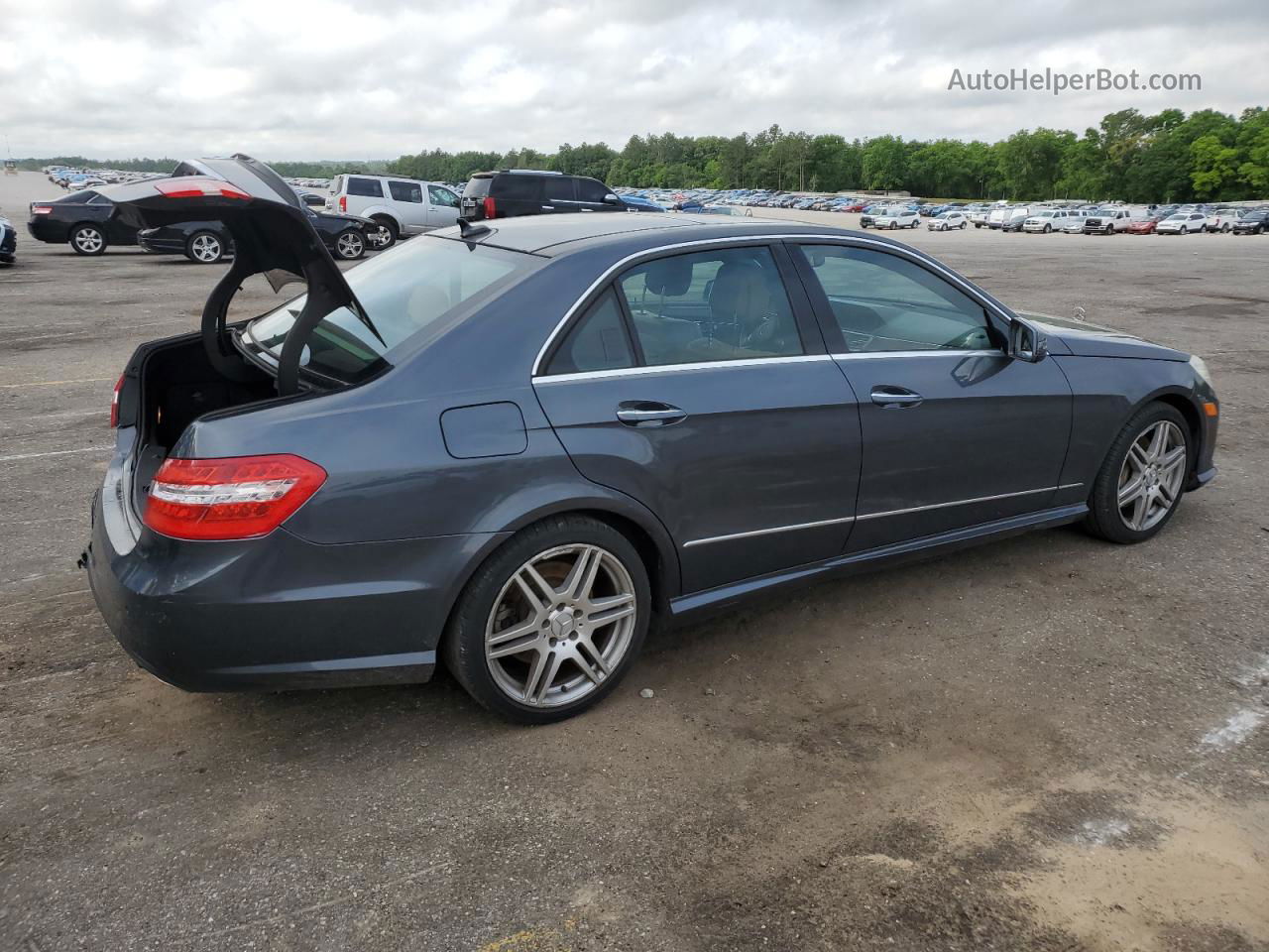 2010 Mercedes-benz E 550 Gray vin: WDDHF7CB0AA028437