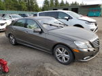 2010 Mercedes-benz E 550 Gray vin: WDDHF7CB2AA088428