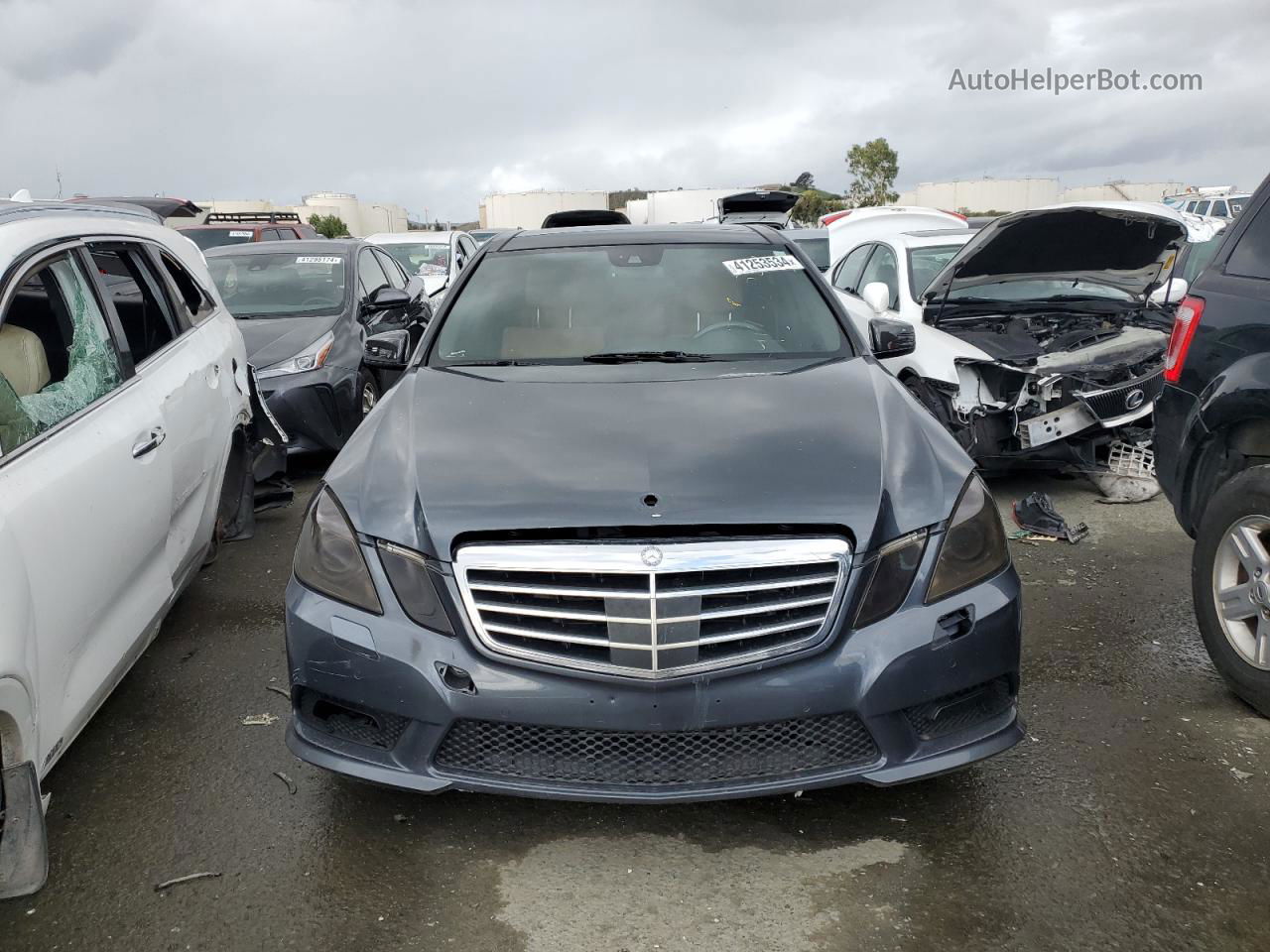 2010 Mercedes-benz E 550 Gray vin: WDDHF7CB9AA020434