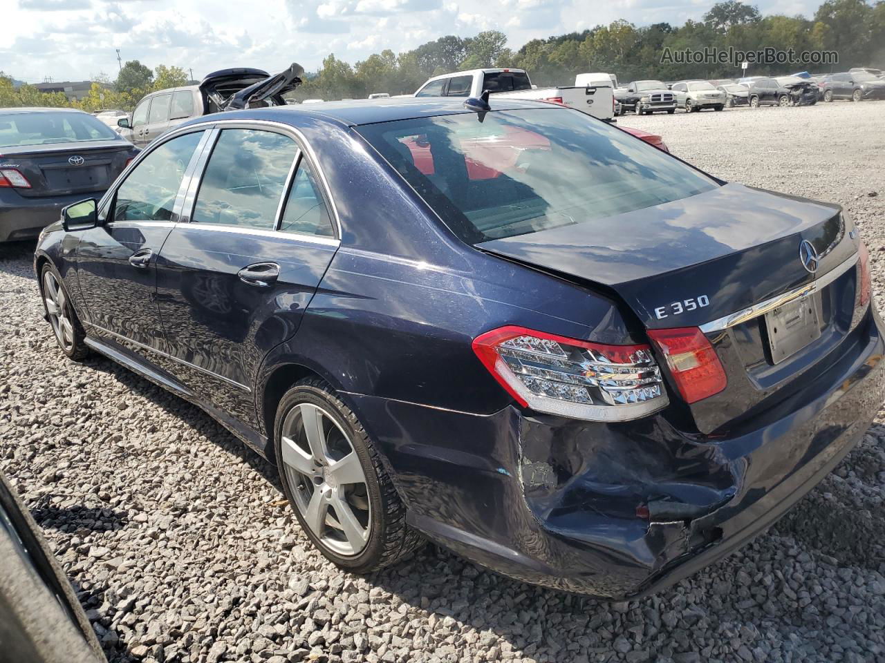 2010 Mercedes-benz E 350 4matic Blue vin: WDDHF8HB6AA074921