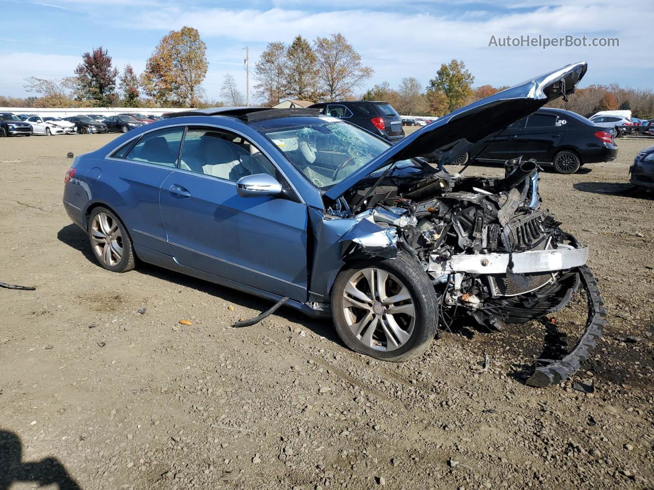 2010 Mercedes-benz E 350 Blue vin: WDDKJ5GB5AF023384