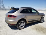 2017 Porsche Macan  Золотой vin: WP1AA2A56HLB09062