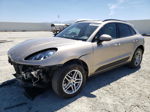 2017 Porsche Macan  Золотой vin: WP1AA2A56HLB09062