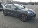 2017 Porsche Macan  Серый vin: WP1AA2A58HLB06907