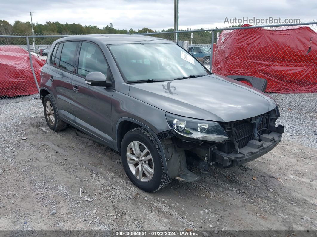 2013 Volkswagen Tiguan S Gray vin: WVGAV3AX0DW614256