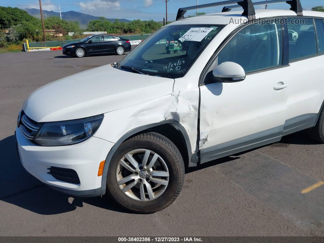 2013 Volkswagen Tiguan S Белый vin: WVGAV3AX1DW620339