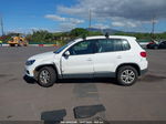 2013 Volkswagen Tiguan S Белый vin: WVGAV3AX1DW620339