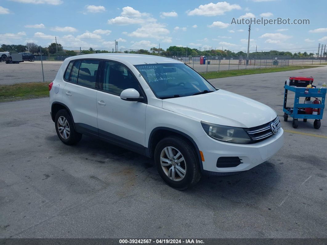 2013 Volkswagen Tiguan S Белый vin: WVGAV3AX2DW562905