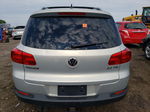 2013 Volkswagen Tiguan S Silver vin: WVGAV3AX2DW610564