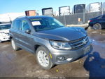 2013 Volkswagen Tiguan Se Серый vin: WVGAV3AX3DW584735