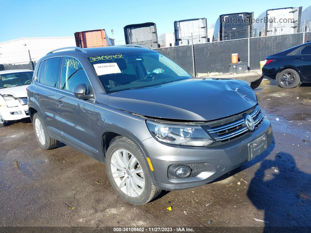 2013 Volkswagen Tiguan Se Серый vin: WVGAV3AX3DW584735