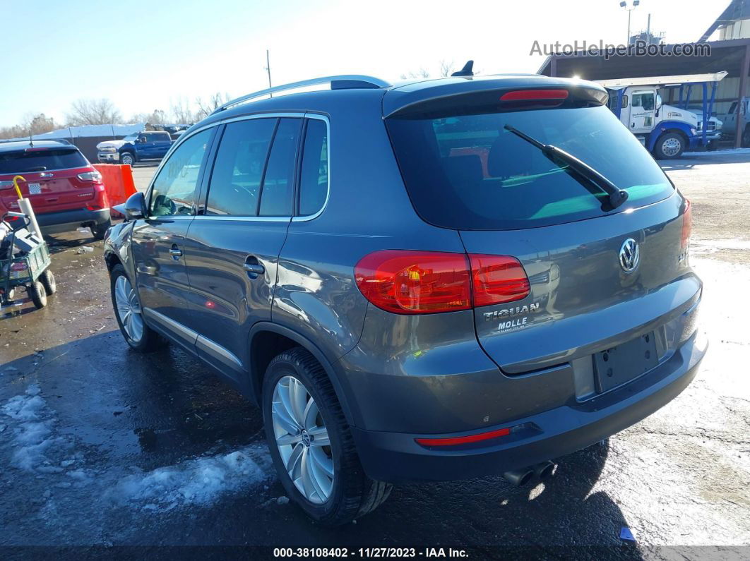 2013 Volkswagen Tiguan Se Серый vin: WVGAV3AX3DW584735