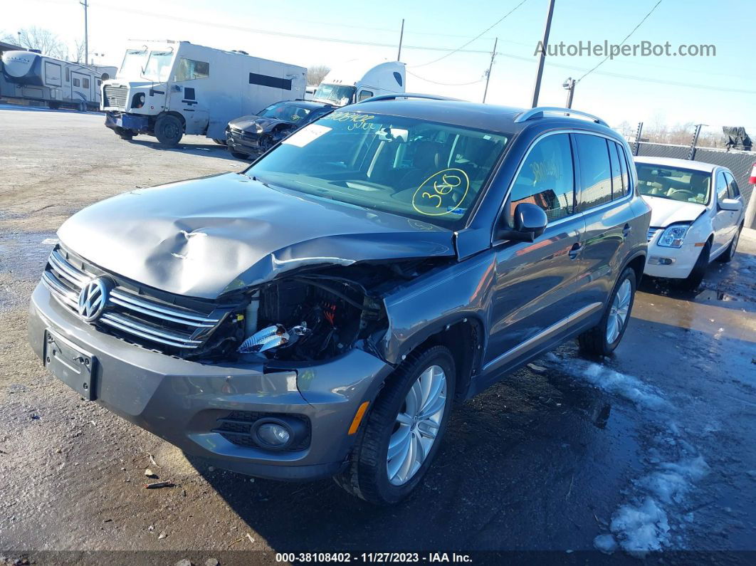 2013 Volkswagen Tiguan Se Серый vin: WVGAV3AX3DW584735