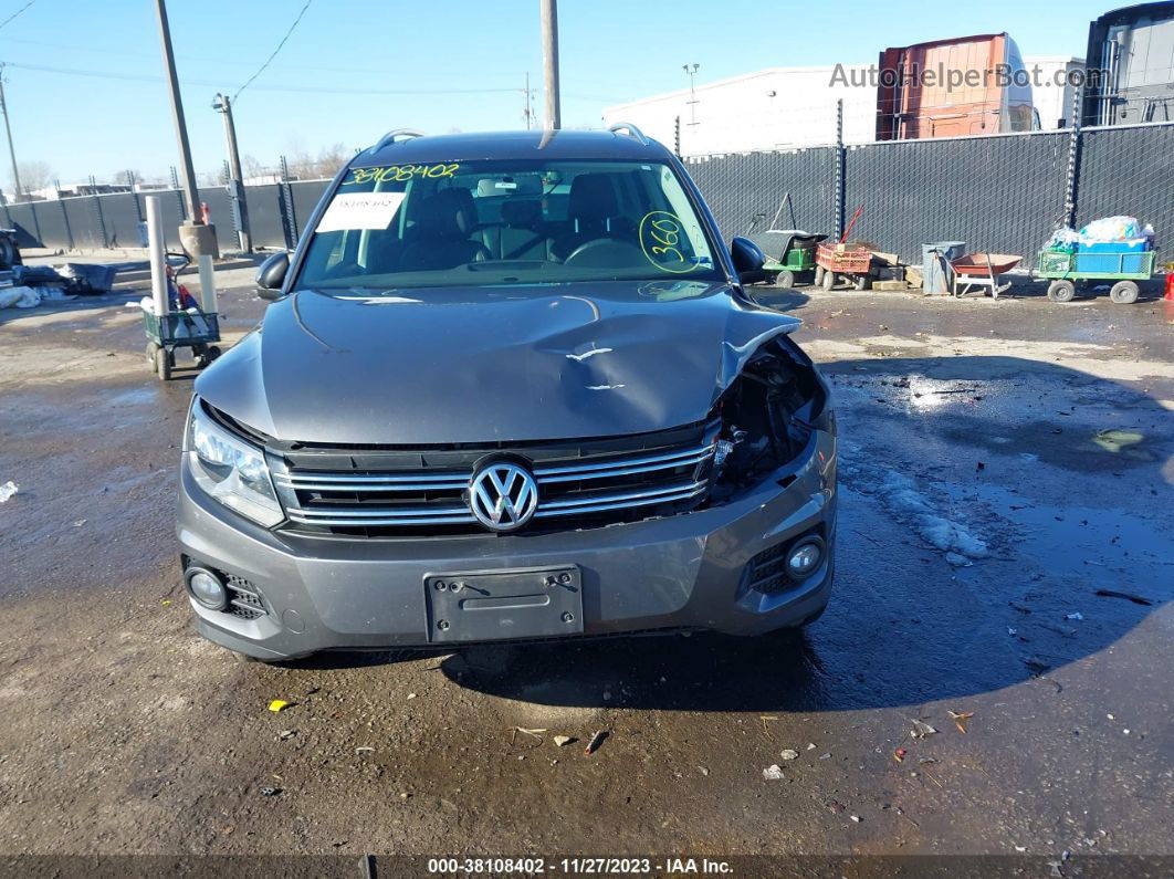 2013 Volkswagen Tiguan Se Gray vin: WVGAV3AX3DW584735