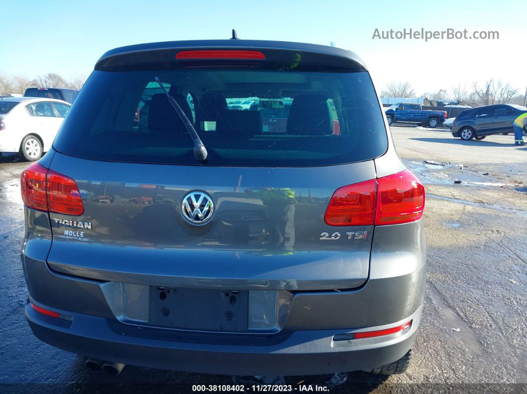 2013 Volkswagen Tiguan Se Серый vin: WVGAV3AX3DW584735