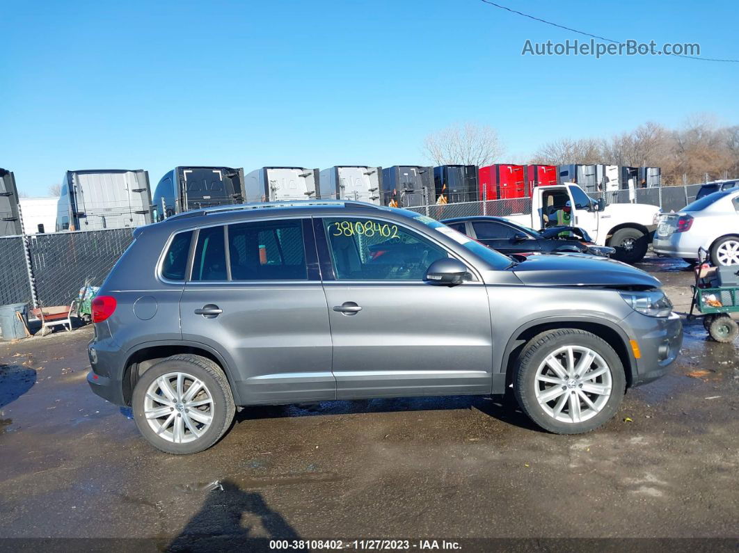 2013 Volkswagen Tiguan Se Серый vin: WVGAV3AX3DW584735