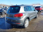 2013 Volkswagen Tiguan Se Gray vin: WVGAV3AX3DW584735