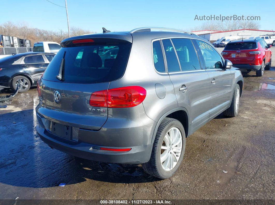 2013 Volkswagen Tiguan Se Gray vin: WVGAV3AX3DW584735