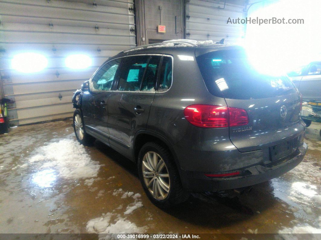 2013 Volkswagen Tiguan Se Gray vin: WVGAV3AX5DW568228