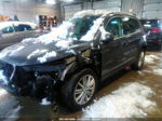 2013 Volkswagen Tiguan Se Gray vin: WVGAV3AX5DW568228