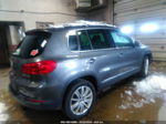 2013 Volkswagen Tiguan Se Gray vin: WVGAV3AX5DW568228