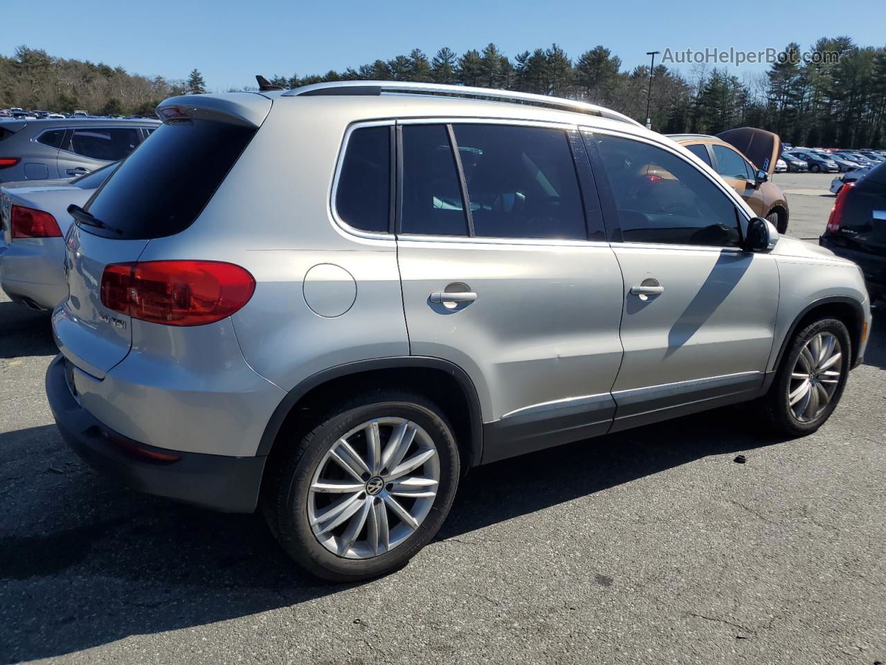 2013 Volkswagen Tiguan S Silver vin: WVGAV3AX5DW572070