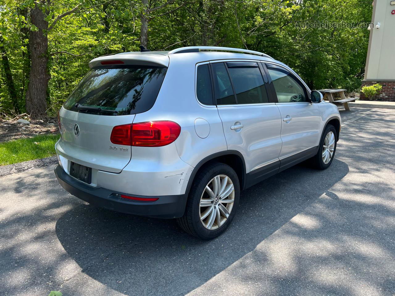 2013 Volkswagen Tiguan S Silver vin: WVGAV3AX6DW566505