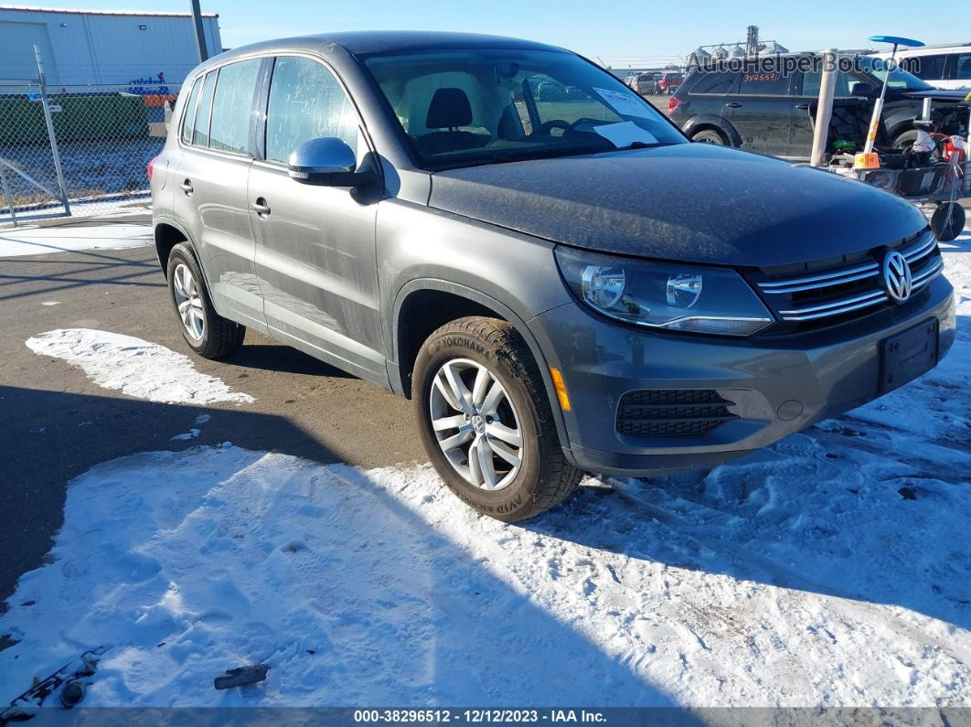 2013 Volkswagen Tiguan S Gray vin: WVGAV3AX6DW621681