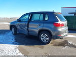 2013 Volkswagen Tiguan S Gray vin: WVGAV3AX6DW621681